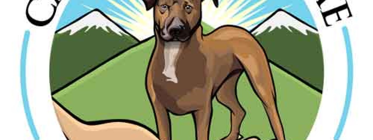 Canine PT and Me - CCL Tear in Dogs