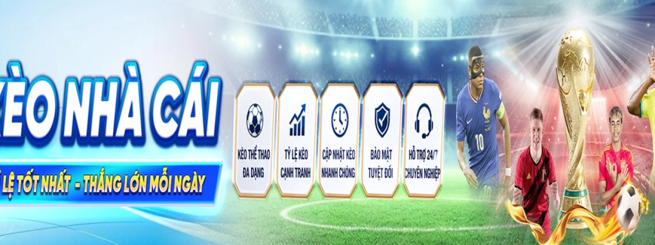 tylekeonhacai55io