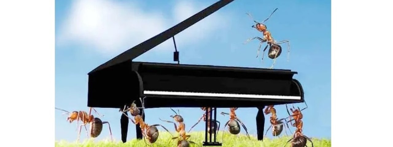 Sydney Piano Removals