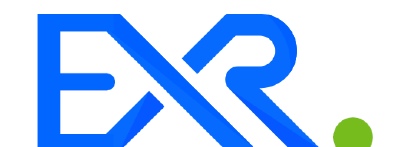 Exrwebflow