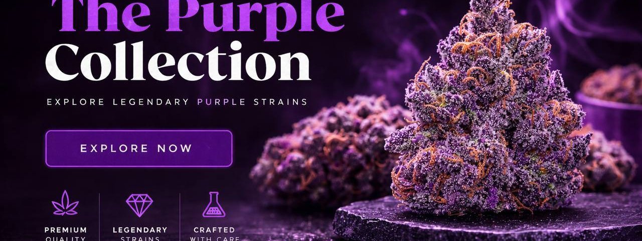 thepurpleshopcannabis