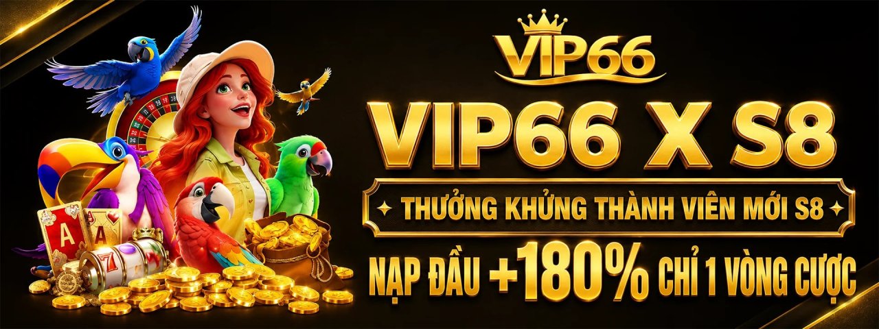 vip66coach
