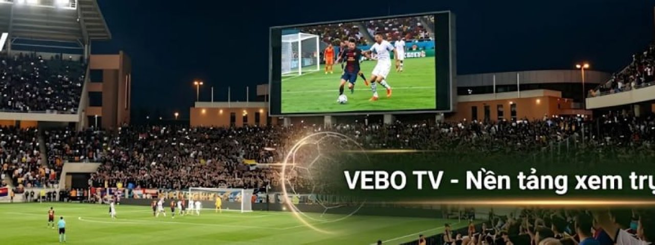 vebotvllc