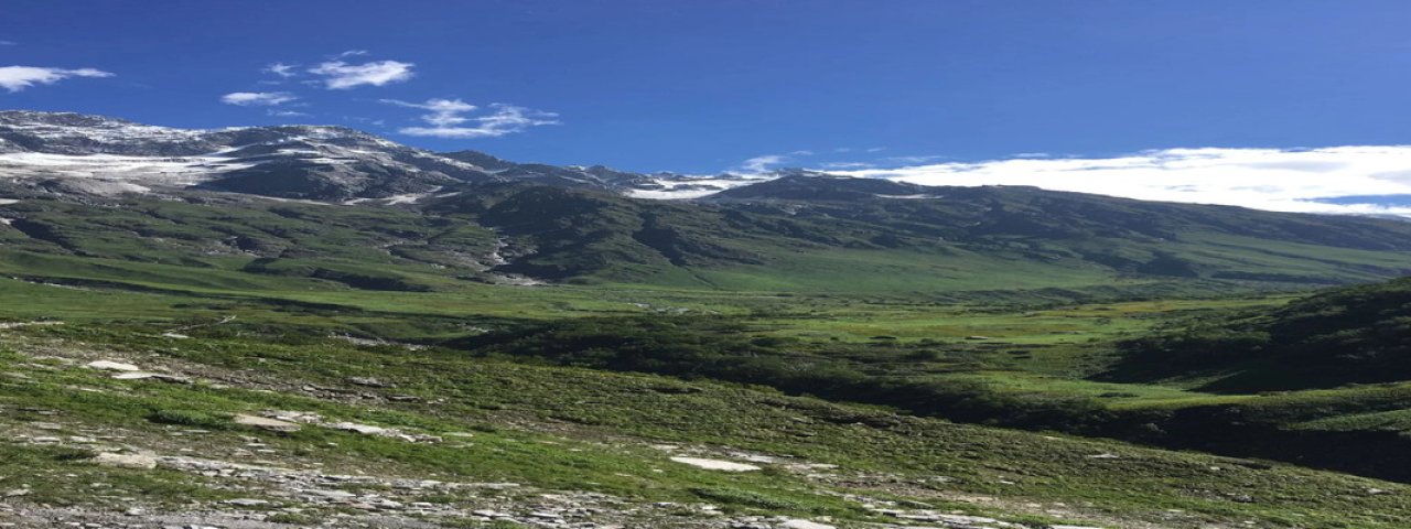 valleyofflowersindia