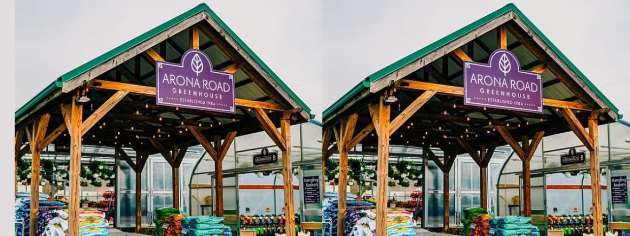 aronaroadgreenhouse