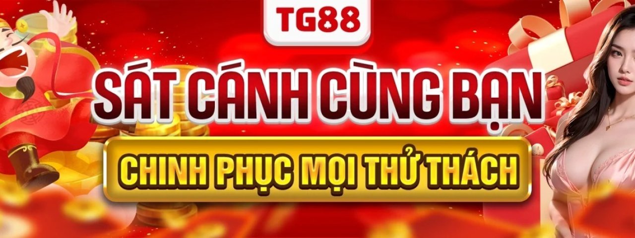 tg88netinfo