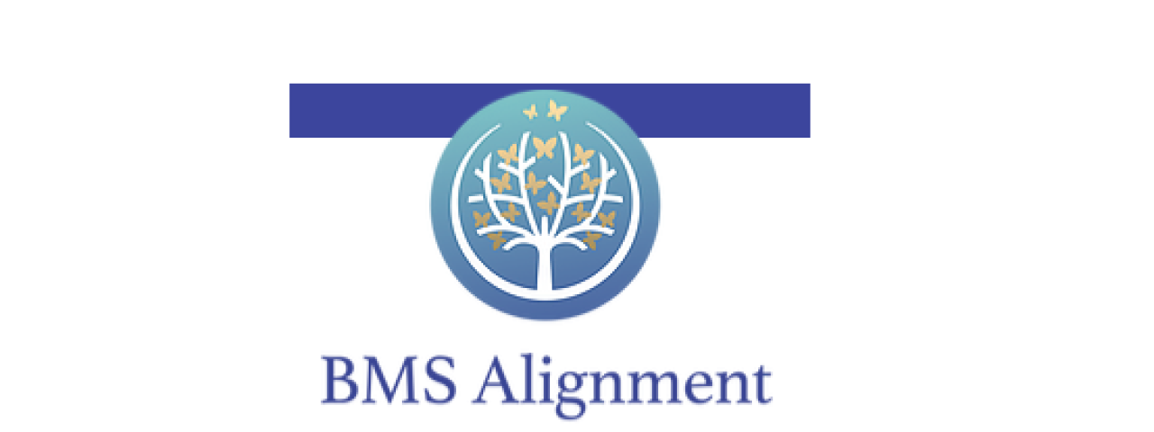 BMSAlignment