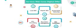 Web Cures Digital