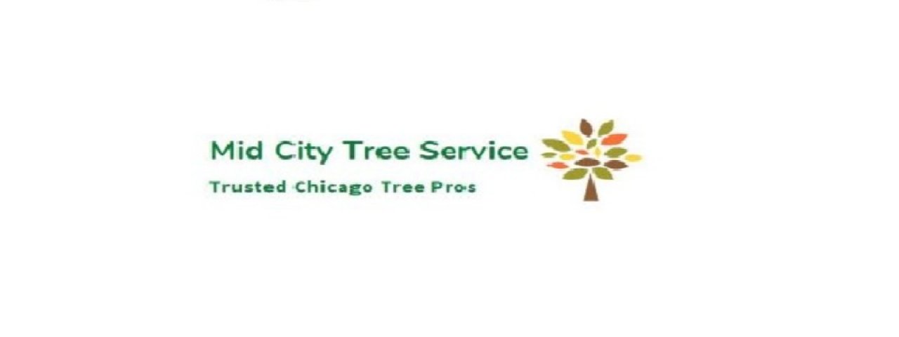 treeservicechicagoil