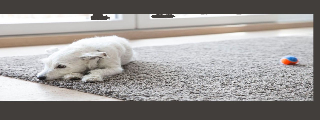 carpetandtileplus