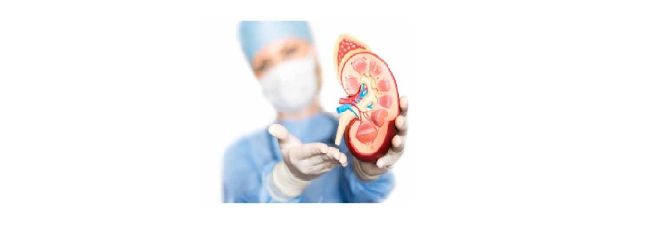 kidneycarecentre