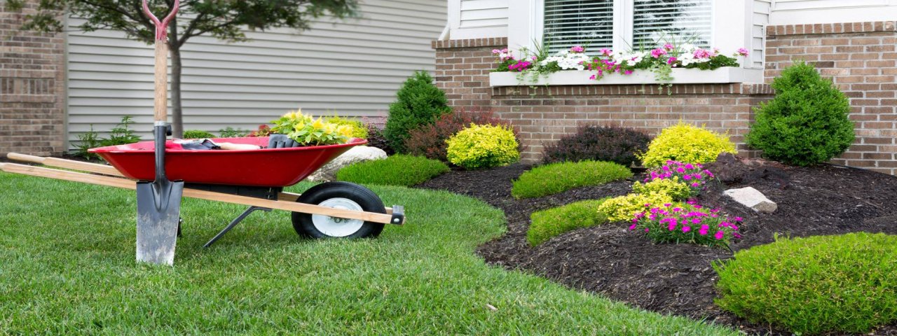 Landscape maintenance