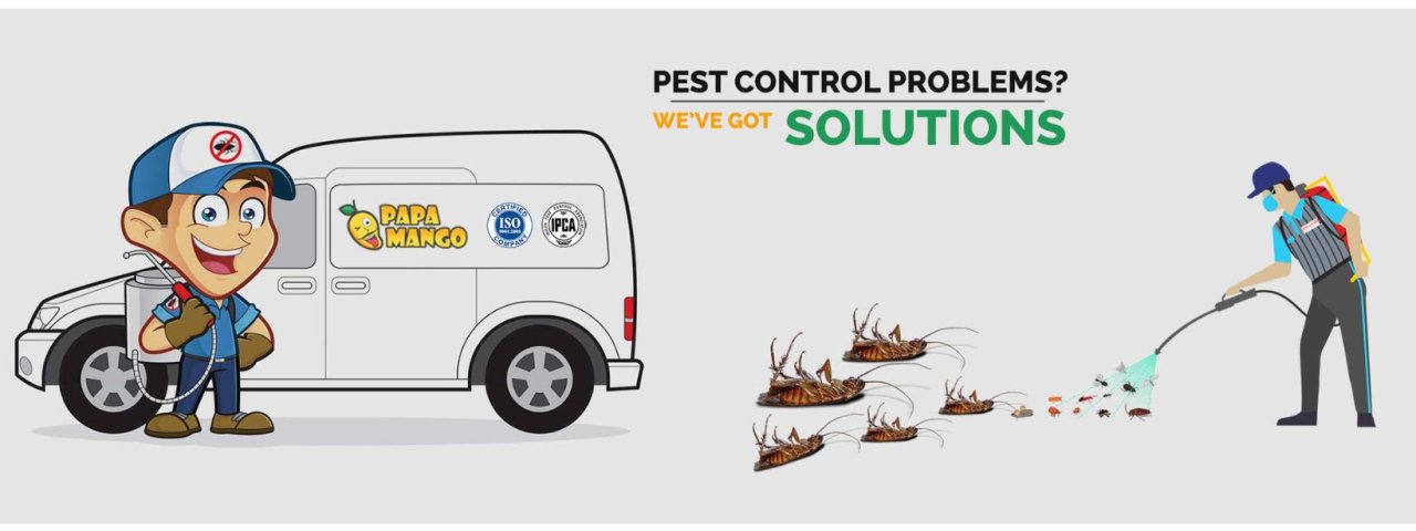 Reliable Termite Control Services 