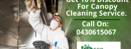 ecocleaning