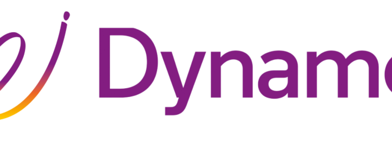 dynamoinfo