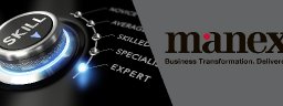 Manex-Consulting