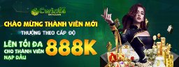 cwin69com