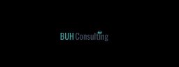 buh-consulting