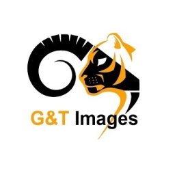 GandTImages