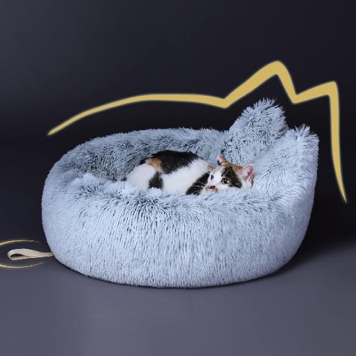 cutecatbeds