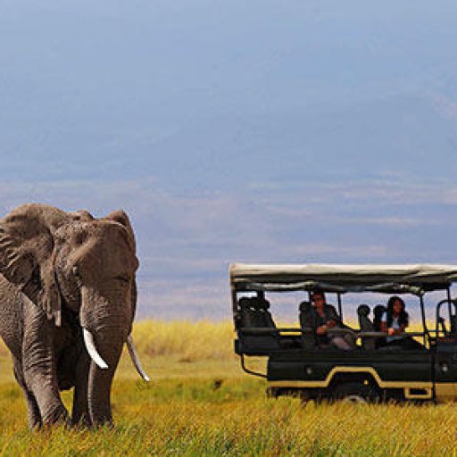 kenyasafari