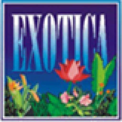 exoticabeachcottages