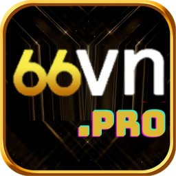 66vnpro