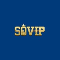 sovip66org