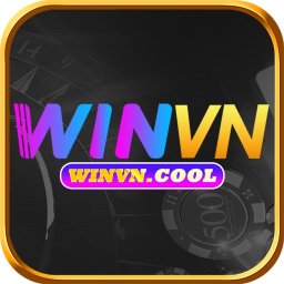 winvncool