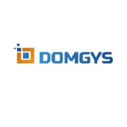 Domgys India