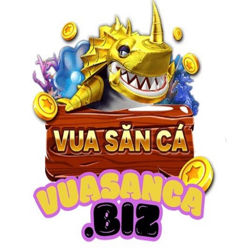 vuasancabiz