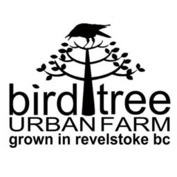 Bird Tree Urban Farm