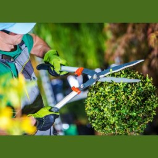 landscapingcompanies