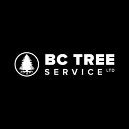 BCTreeService