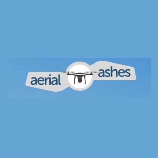 aerialashes