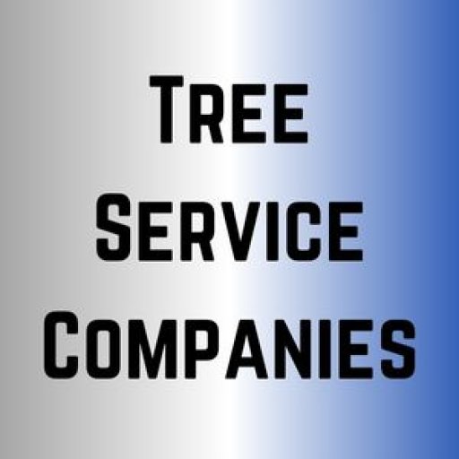 Tree Service Companies