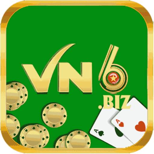 vn6biz