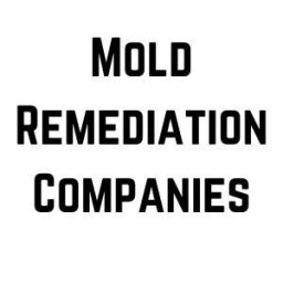 Mold Remediation Companies