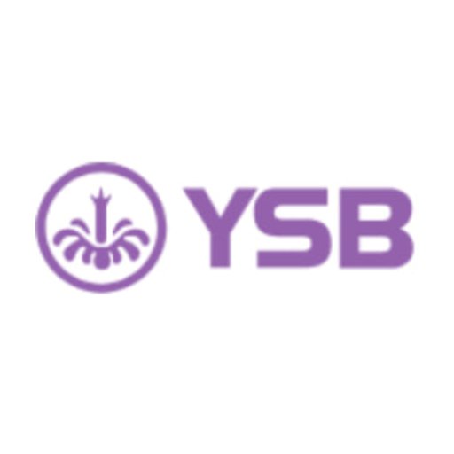 ysb66org