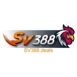 sv388sondorselectriccar