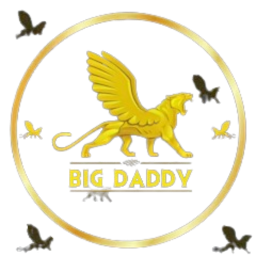 bigdaddygame