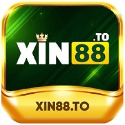 xin88to