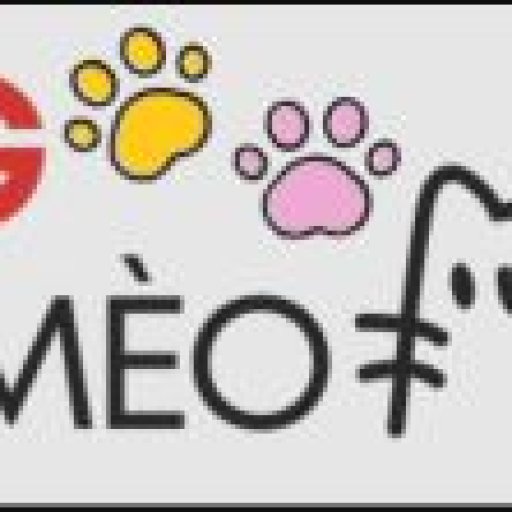 blogchomeoinfo