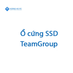 ssdteamgroup