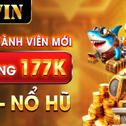 77winforex