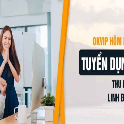 linkokvipworks