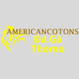 dagaamerican