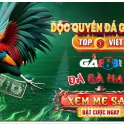 ga888host