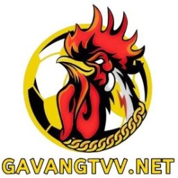 gavangtvvnet