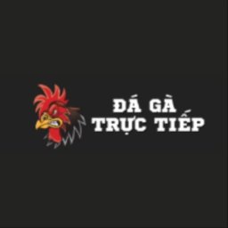 dagatructiep247tv